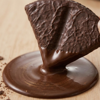 lote-barquillos-artesanos-bañados-chocolate