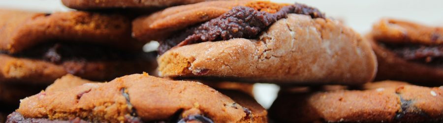 devorador de galletas