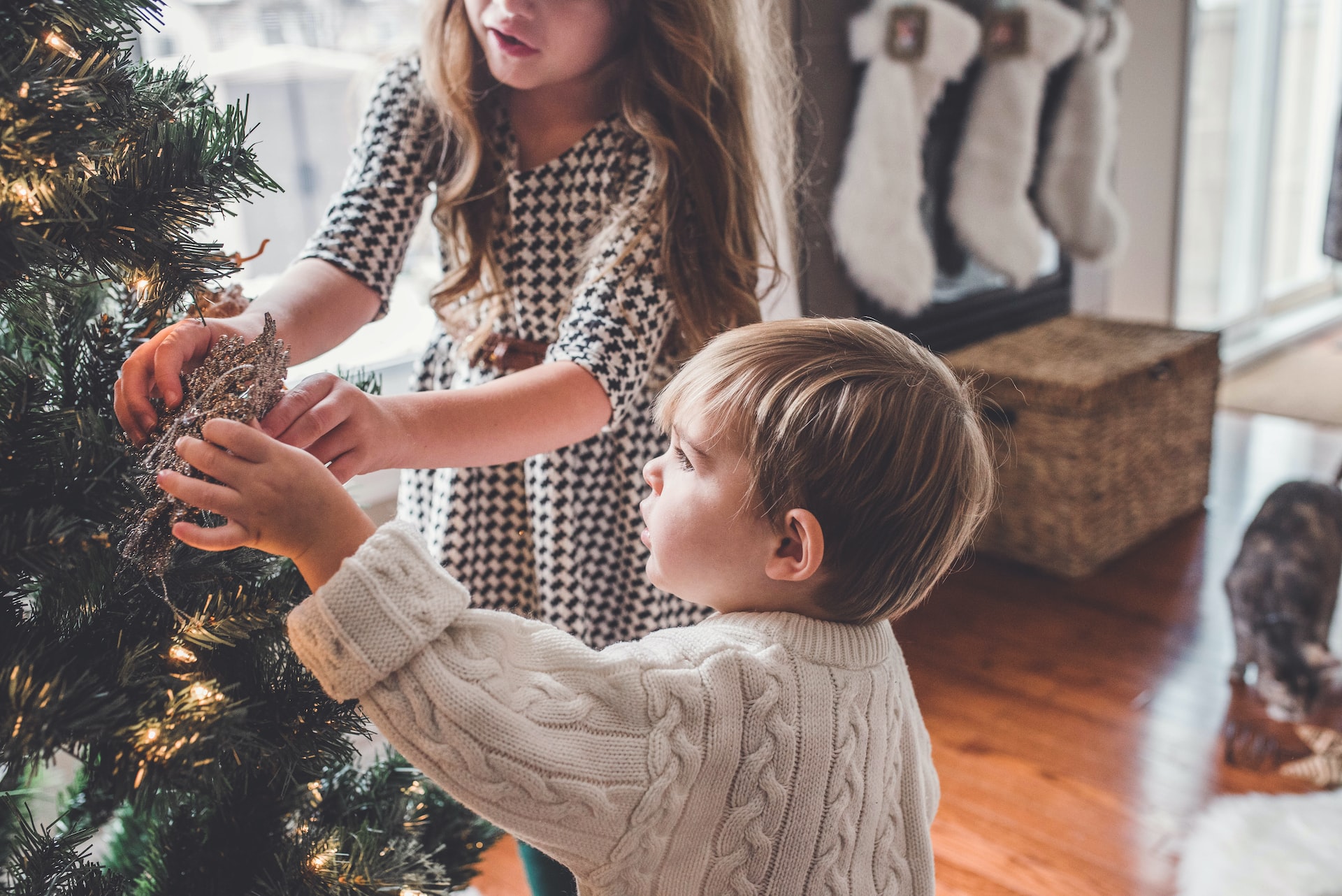 disfruta en navidad