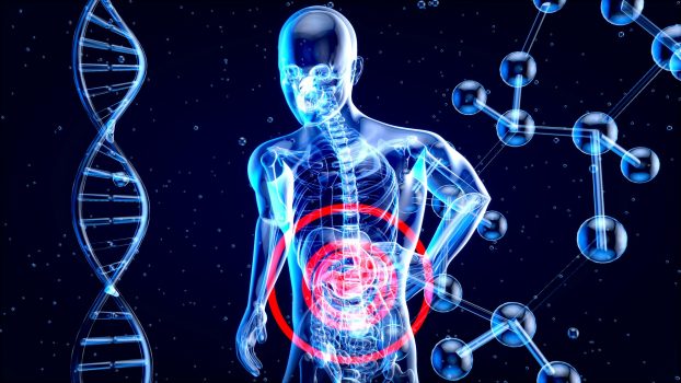 ¿Cuánto tiempo debo esperar después de comer para hacer la digestión?