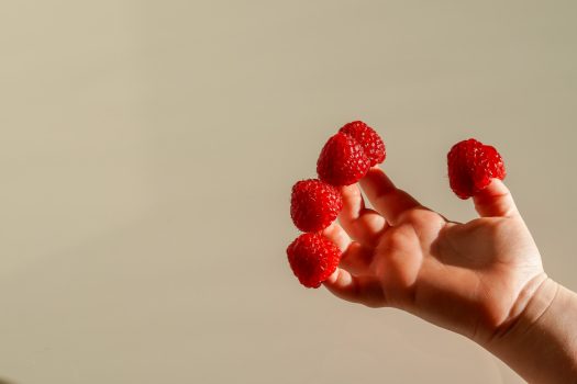 Actividades educativas sobre la alimentación